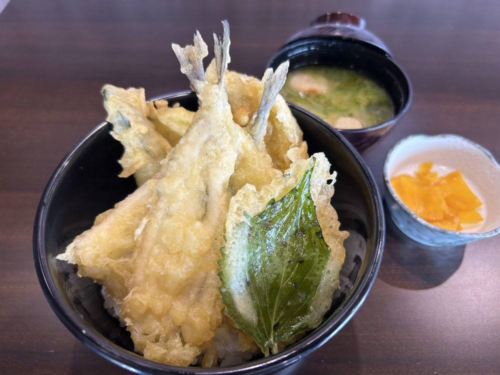 上関海峡サヨリ天丼